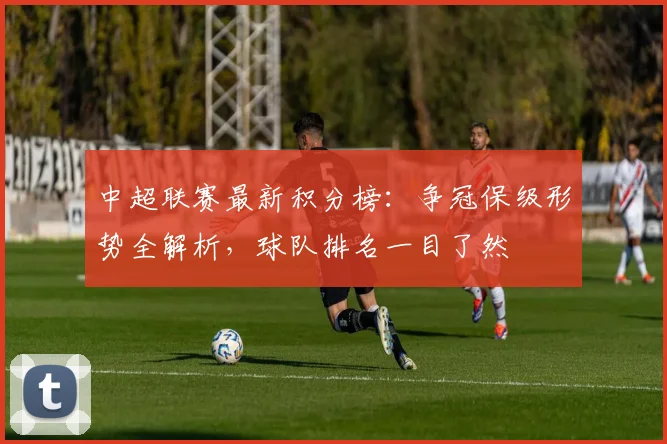 中超联赛最新积分榜：争冠保级形势全解析，球队排名一目了然